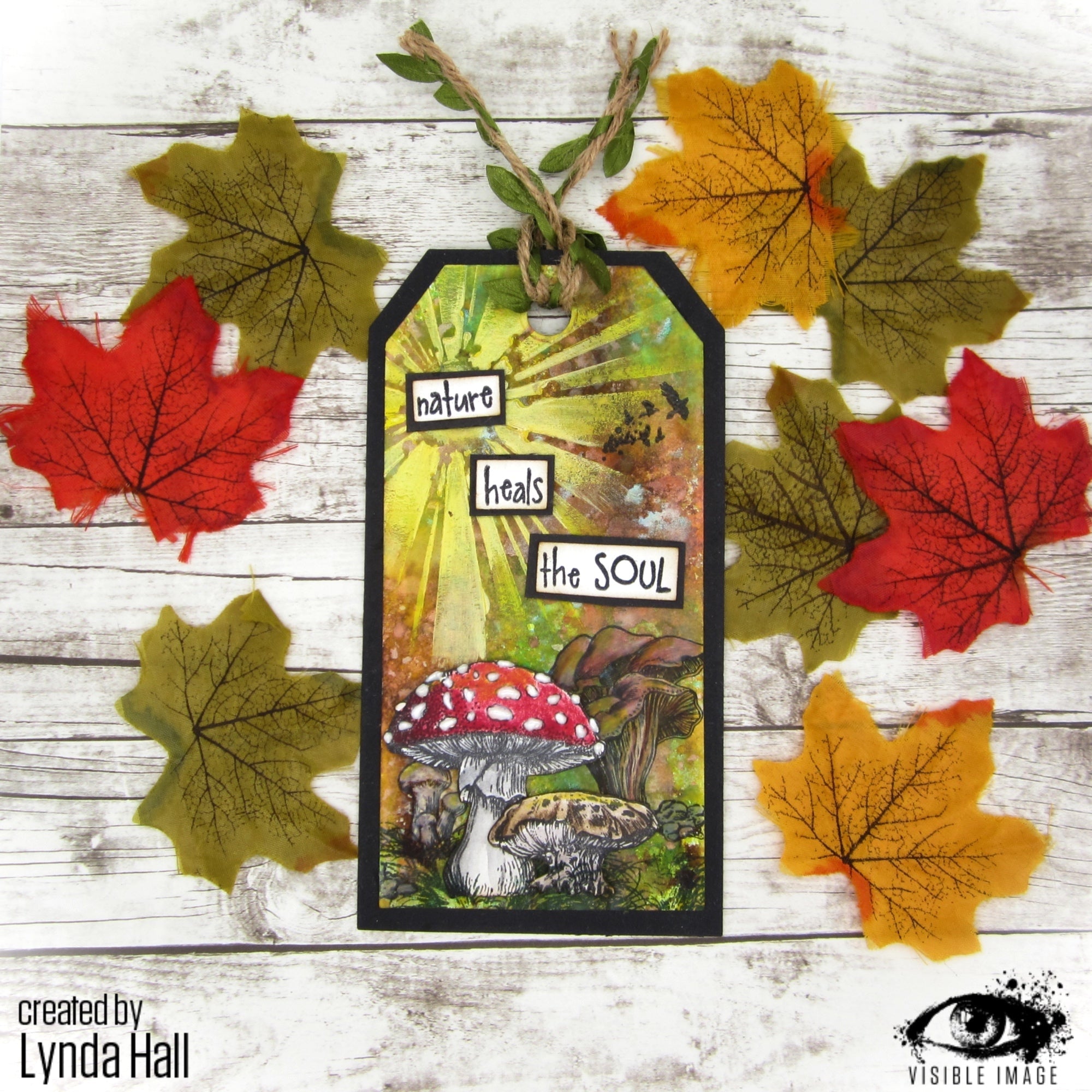 Visible Image Totally Toadstools - A6 Stamp Set