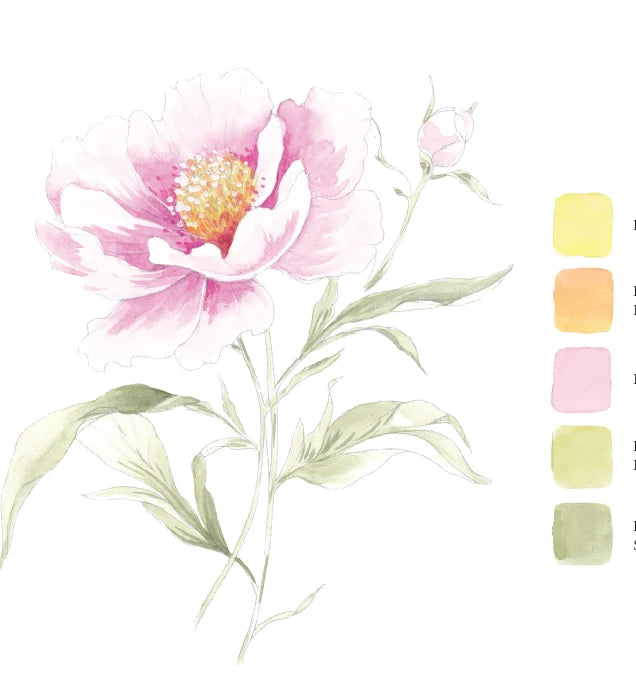 Willow Wolfe - Watercolor Workbook: Blooms and Bouquets by Willow Wolfe