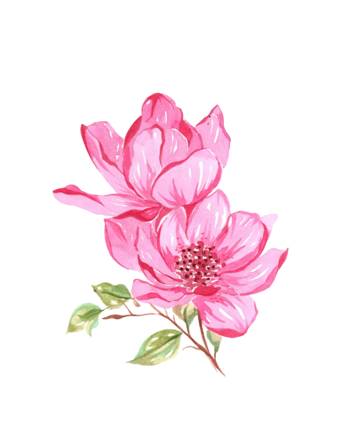 Willow Wolfe - Watercolor Workbook: Bold Florals by Willow & Nya Wolfe