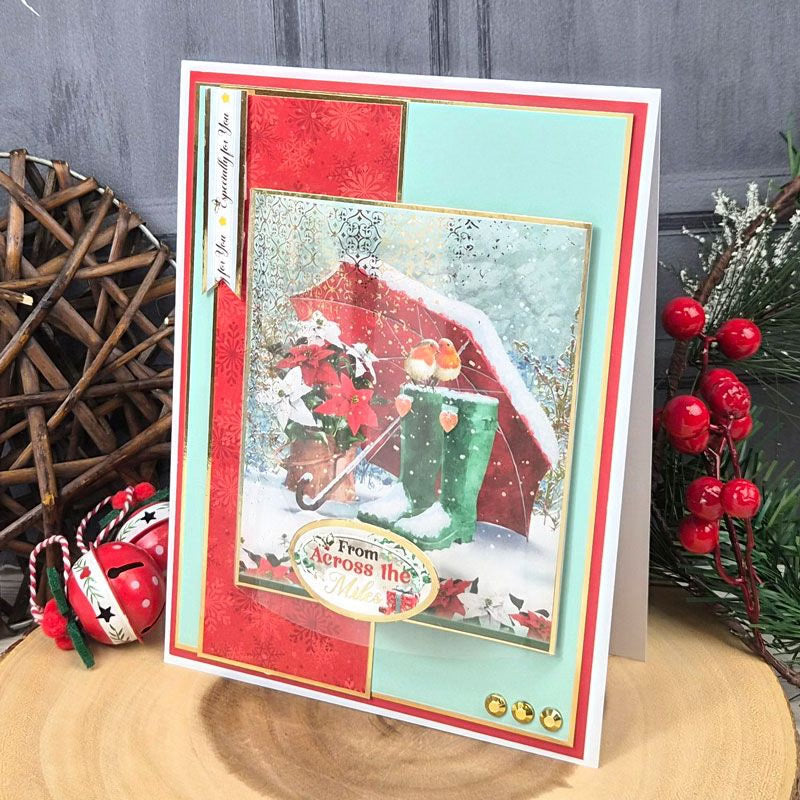 Christmas Robins Adorable Scorable Selection