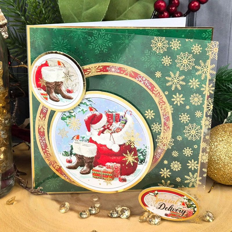 Christmas Robins Luxury Foiled Acetate