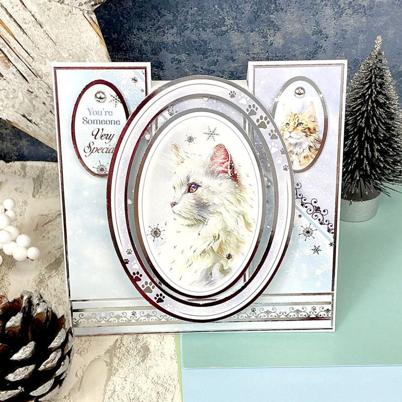 A Purr-fect Christmas Luxury Topper Set