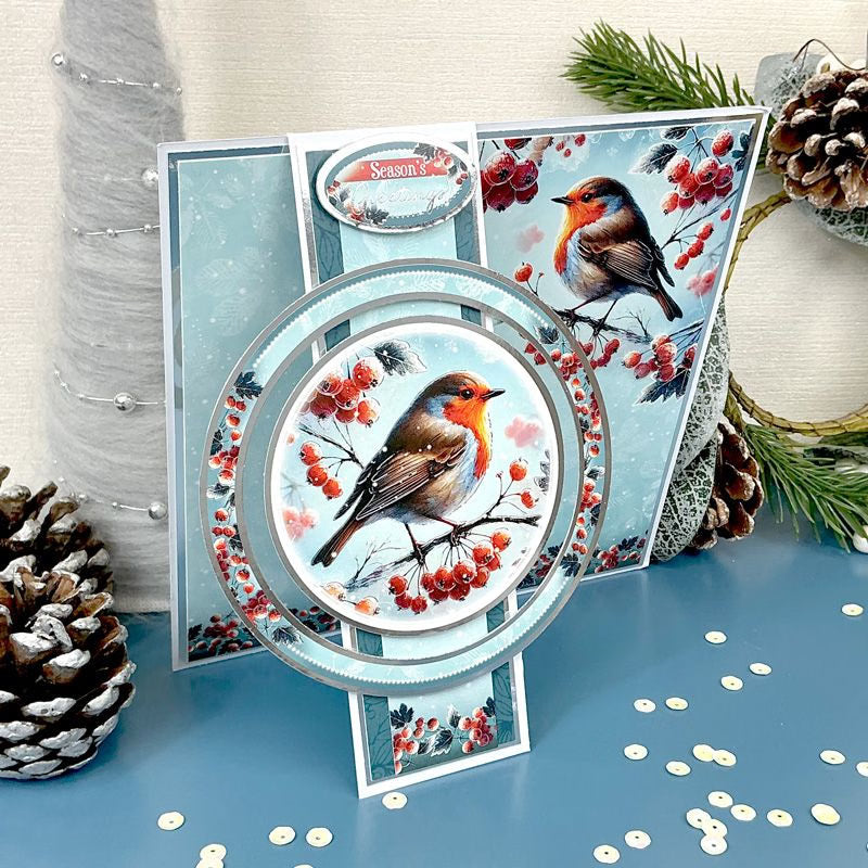 Little Robin Redbreast Luxury Topper Set