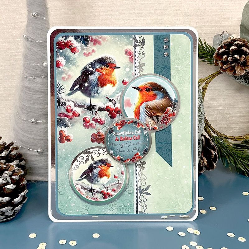 Little Robin Redbreast Luxury Topper Set