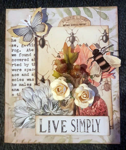 3Quarter Designs - Mini Project Sheet - Botany