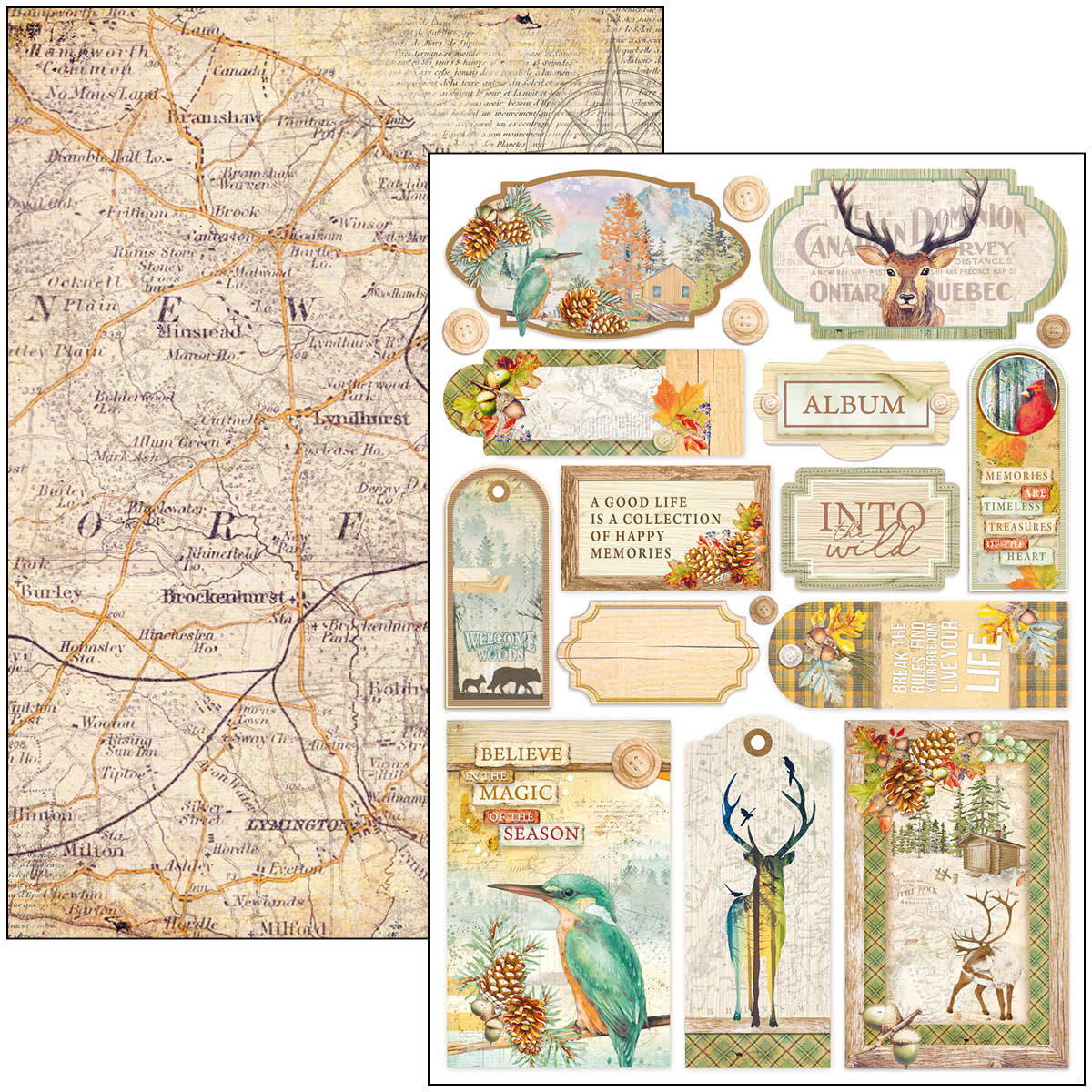 Ciao Bella Into The Wild Creative Pad A4 9/Pkg