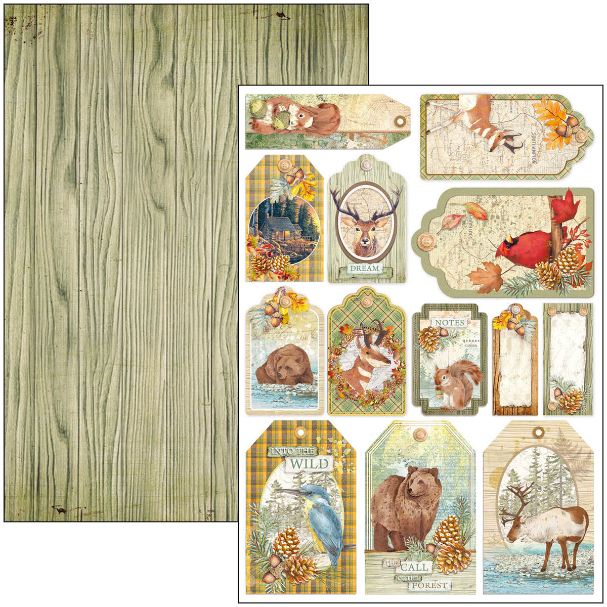 Ciao Bella Into The Wild Creative Pad A4 9/Pkg