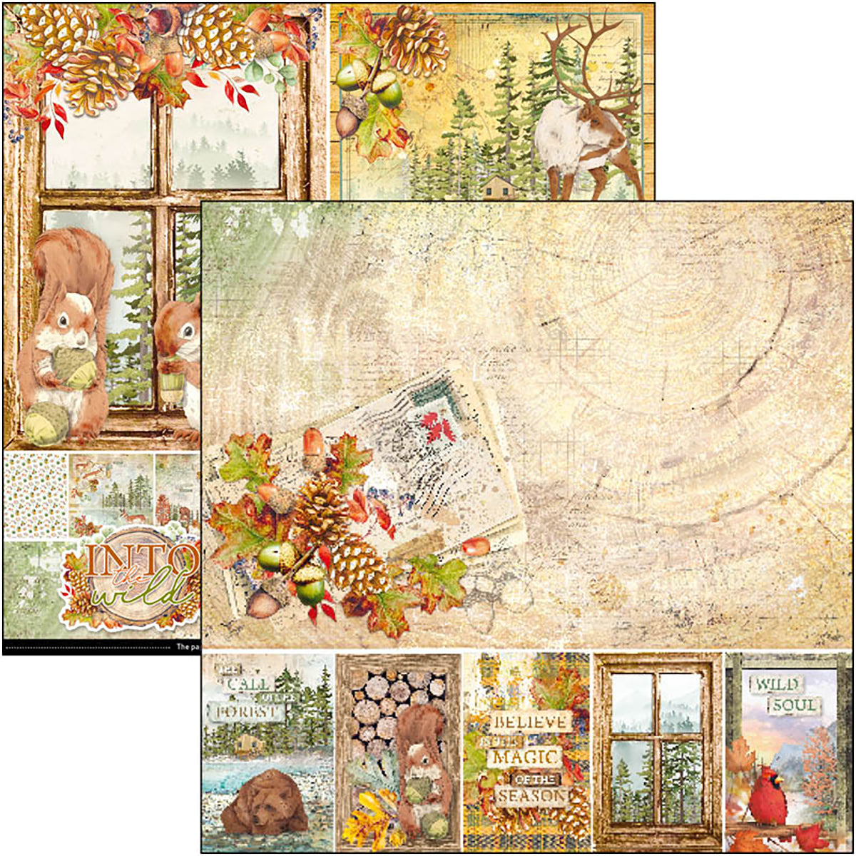 Ciao Bella Into The Wild Paper Pad 8"x8" 12/Pkg