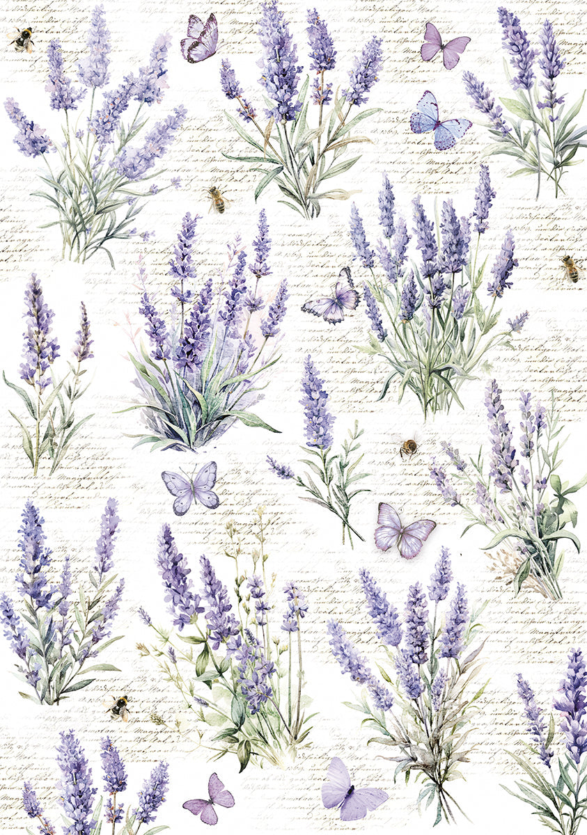 Vellum Morning In Provence Paper Patterns A4 6/Pkg