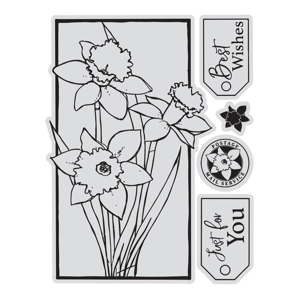 Couture Creations - Framed Daffodils Stamp & Colour Outline Stamps (5pc)