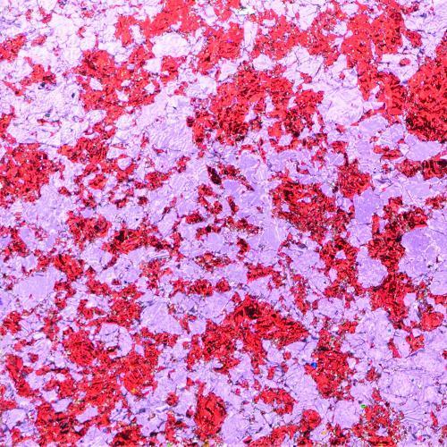 #Colour_Blissful Berry