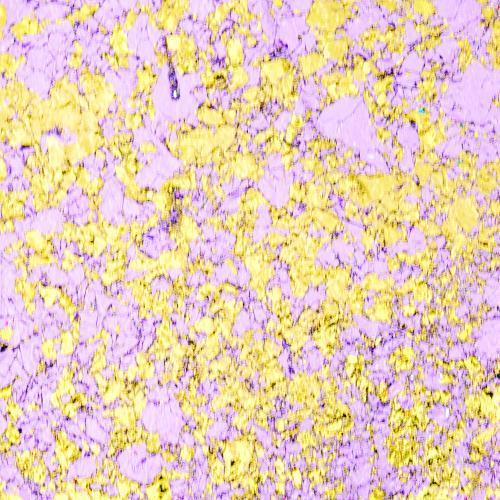 #Colour_Morning Blush