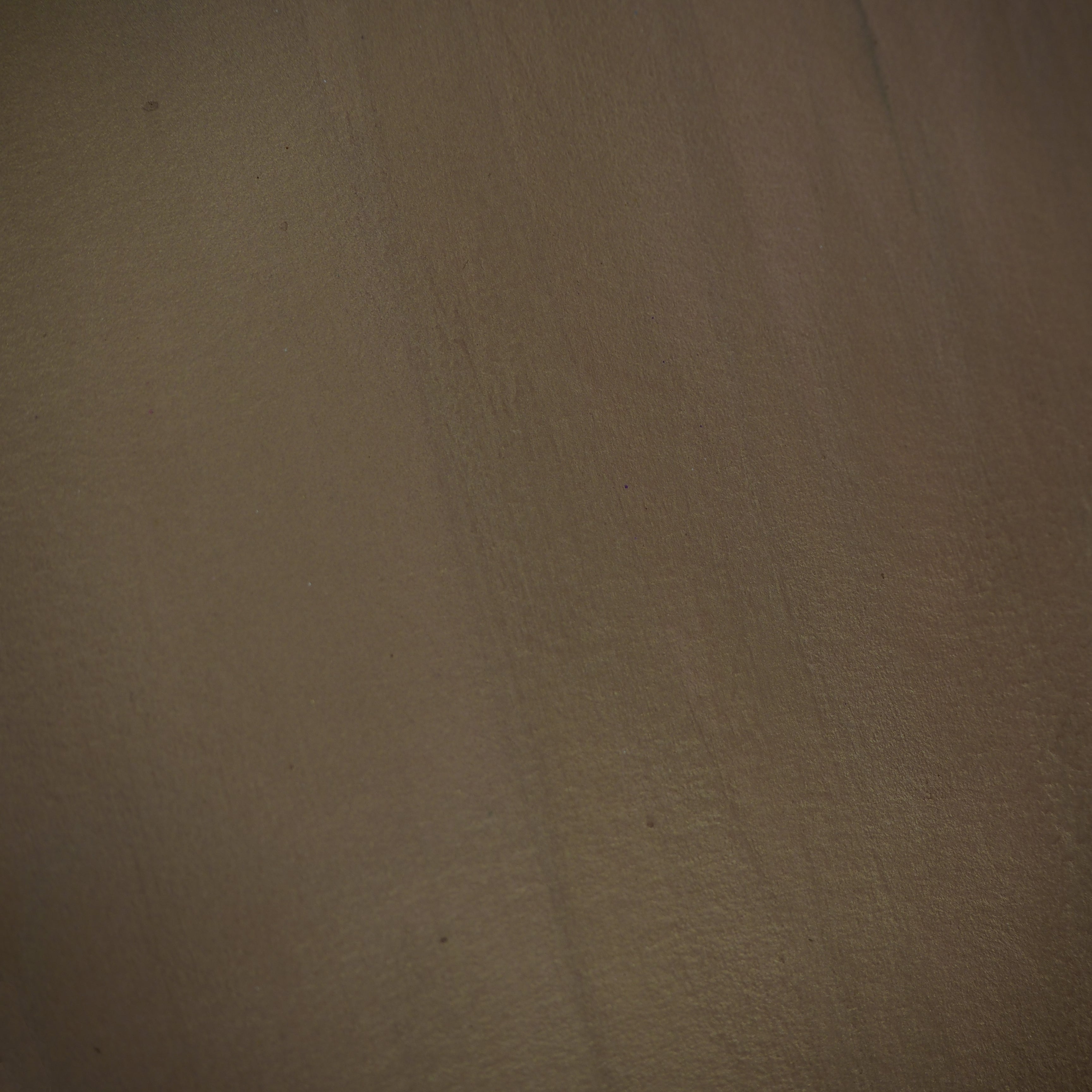 #colour_autumn bronze