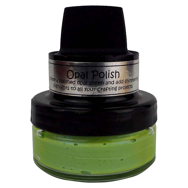 #colour_blue parakeet