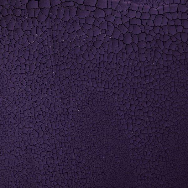 #colour_regal purple