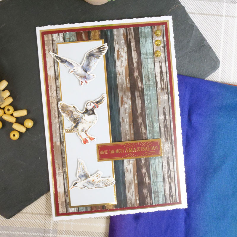 Deckle-Edge Card Blanks & Envelopes Megabuy