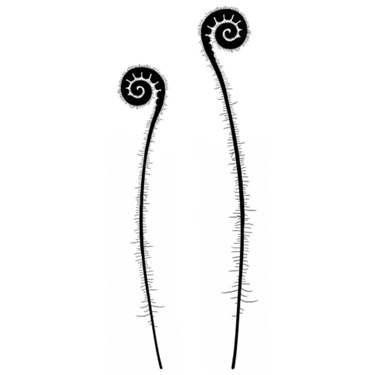 Lavinia Stamp - Fern Heads