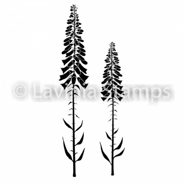 Lavinia Stamp - Foxglove