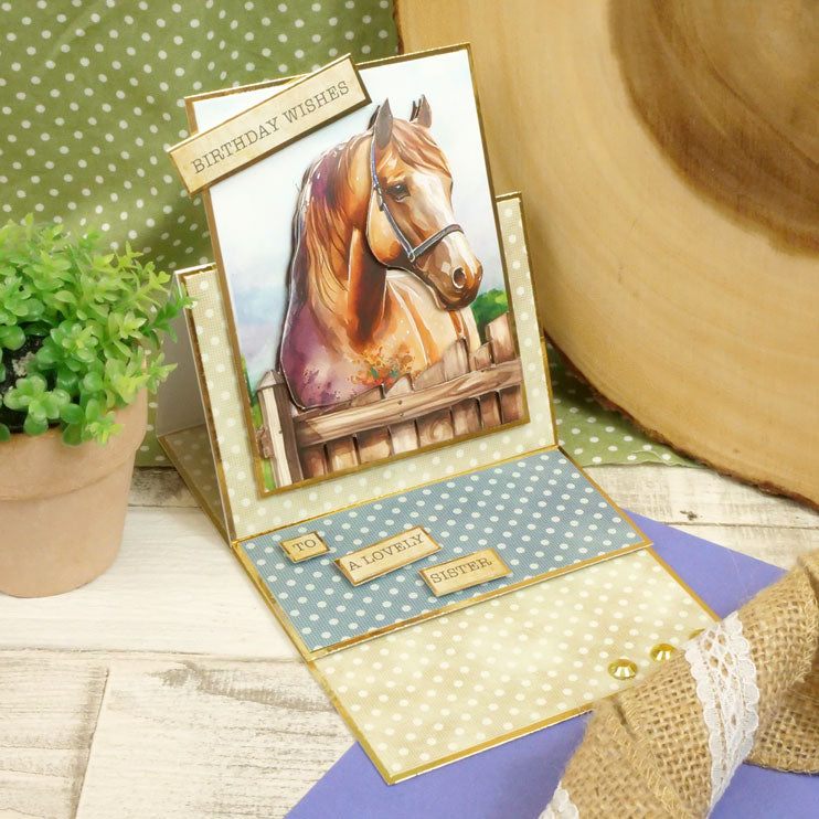 Pocket Pads - Perfect Pets