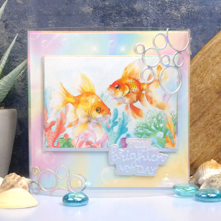 Pocket Pads - Perfect Pets