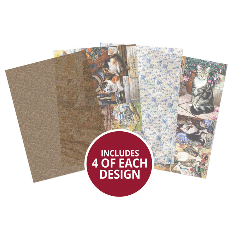 Purr-fect Days Printed Parchment