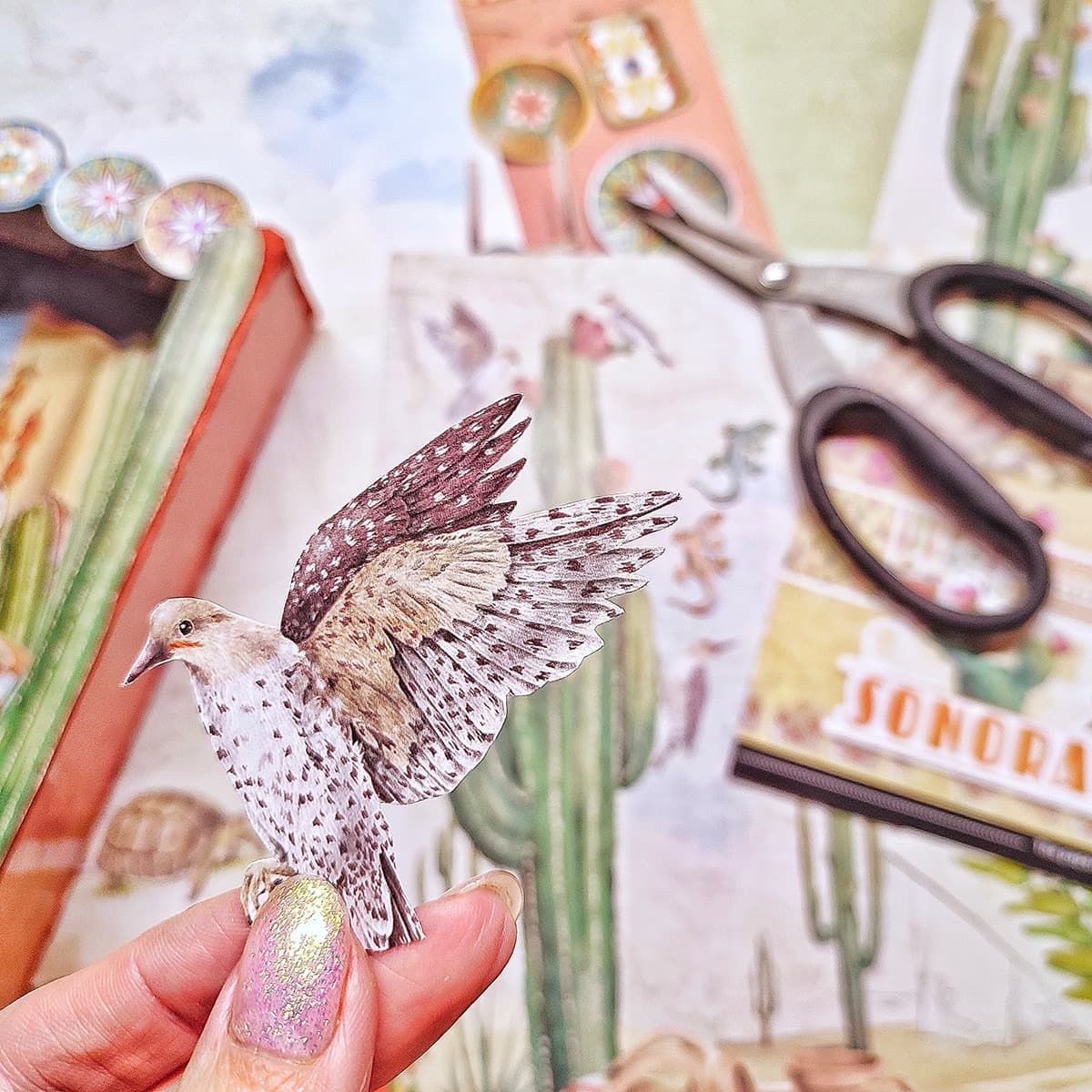 Ciao Bella Sonora Fussy Cut Pad 6"x6" 24/Pkg