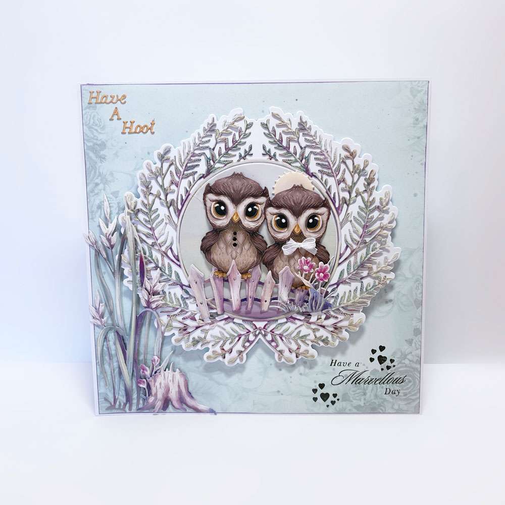 Carnation Crafts Have A Hoot Die Set