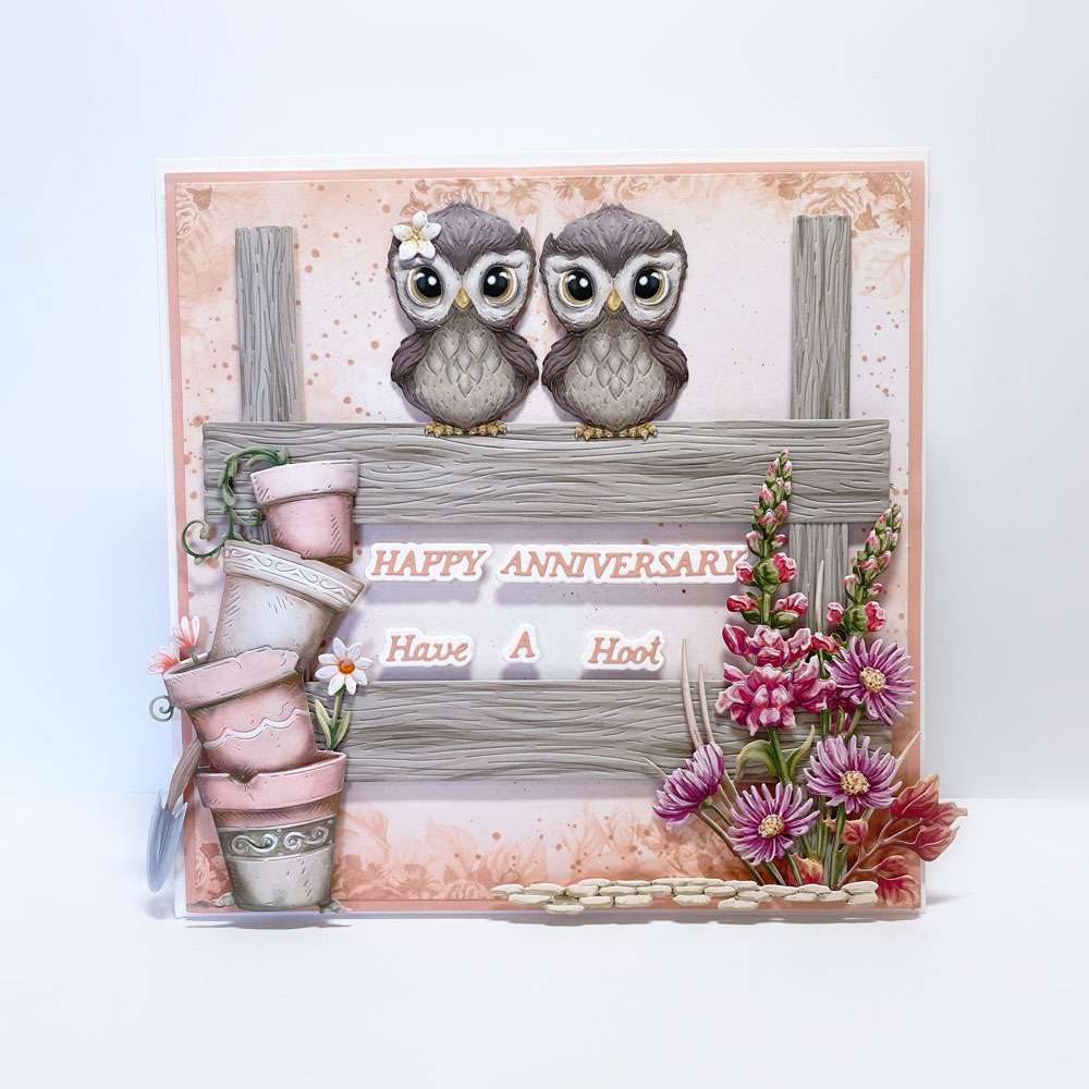 Carnation Crafts Have A Hoot Die Set