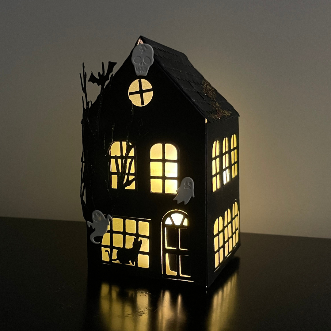 LIGHT-UP HOUSE