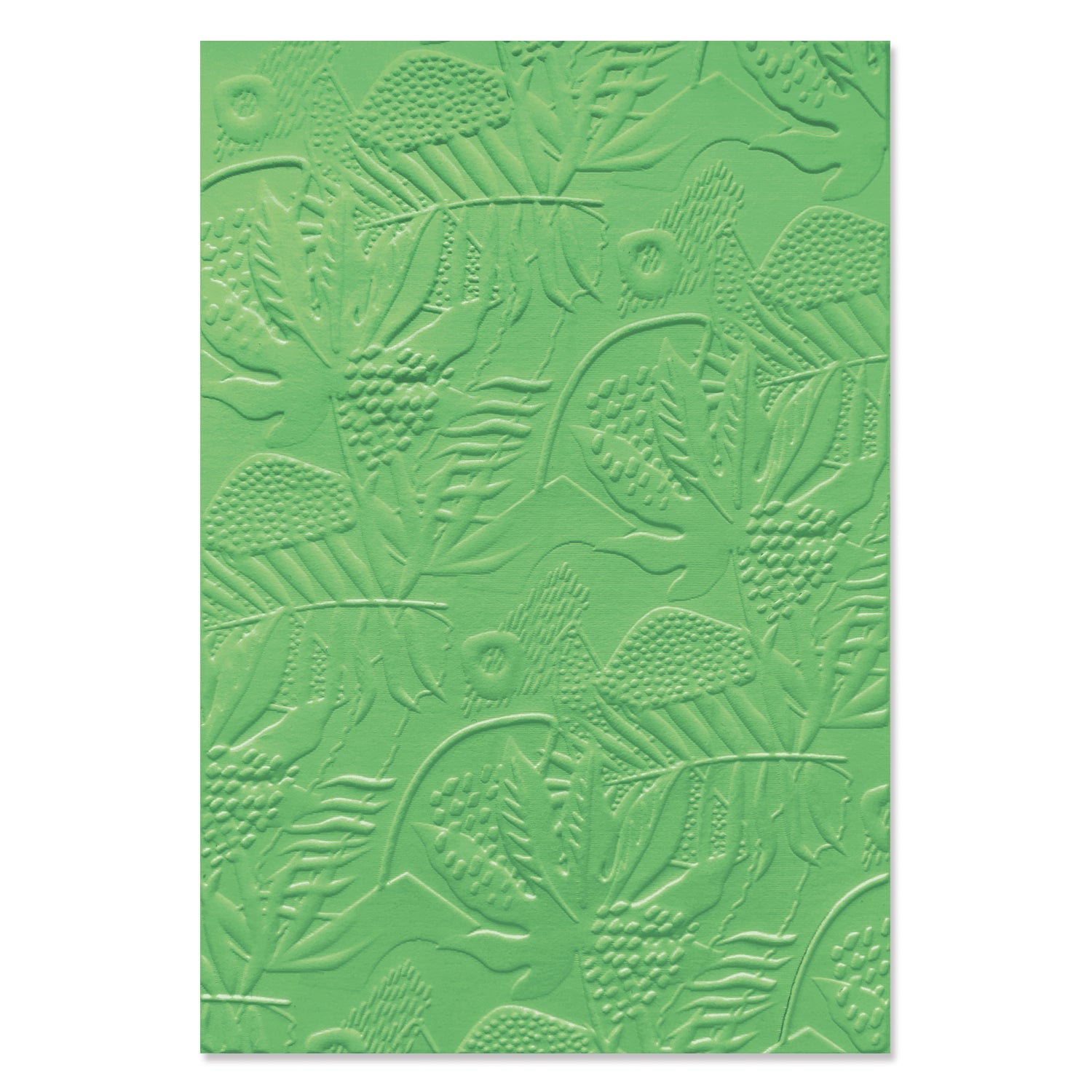 Sizzix 3-D Textured Impressions Embossing Folder - Jungle Textures by Catherine Pooler