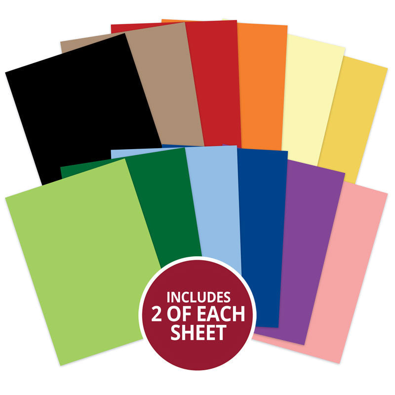 Pun-tastic Adorable Scorable Selection