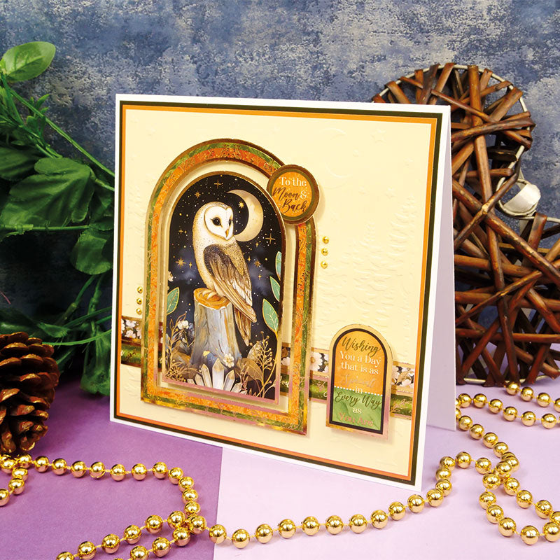 Midnight Forest Adorable Scorable Selection