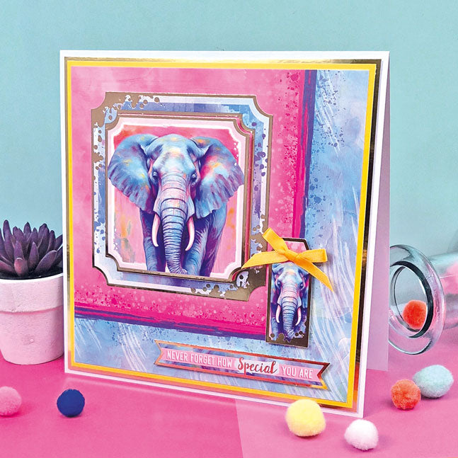 A Splash of Colour Adorable Scorable Selection