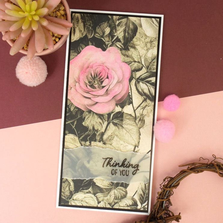 Adorable Scorable Designer Card Packs - Gothic Rose