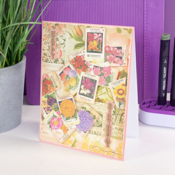 Adorable Scorable Designer Card Packs - Botanical Scrapbook
