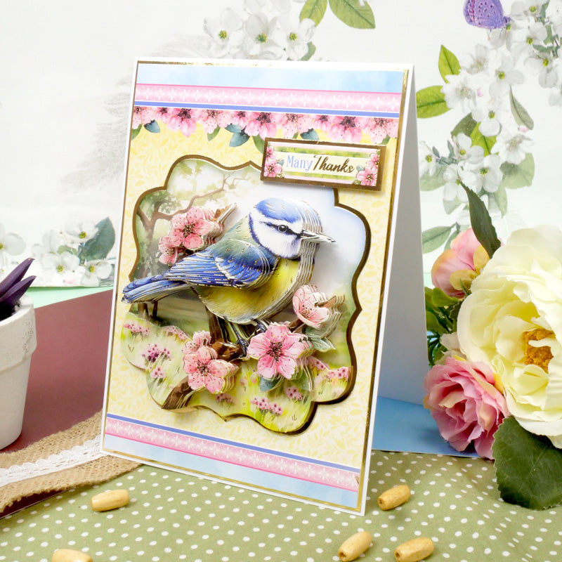 Beautiful Birds Deco-Large Set - Brilliant Blue Tit