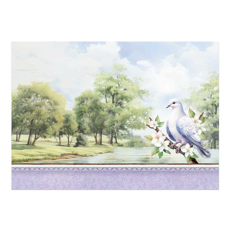Beautiful Birds Deco-Large Set - Delightful Dove