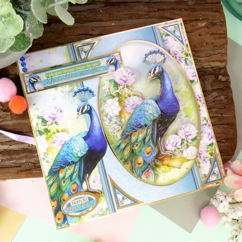 Beautiful Birds Designer Deco-Large Collection