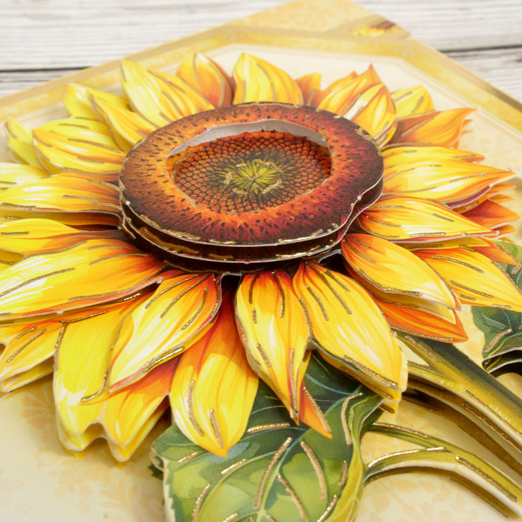 In Full Bloom Deco-Large Set - Sunflower Season