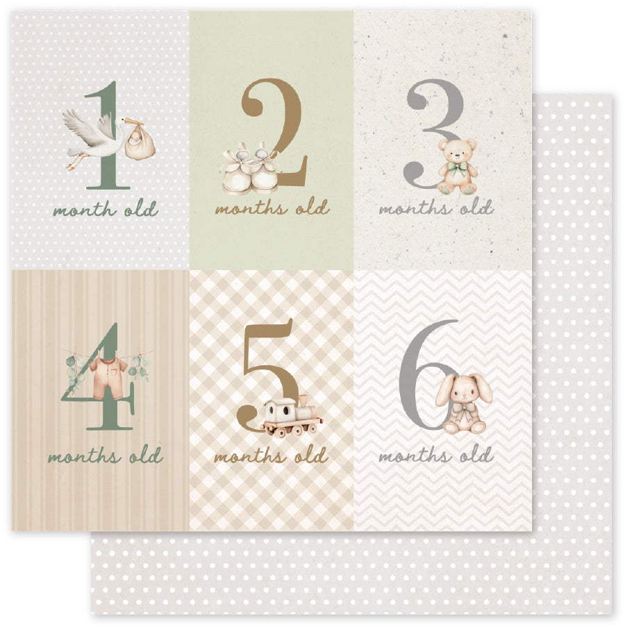 Boho Baby Basics 12x12 Paper Collection 35101