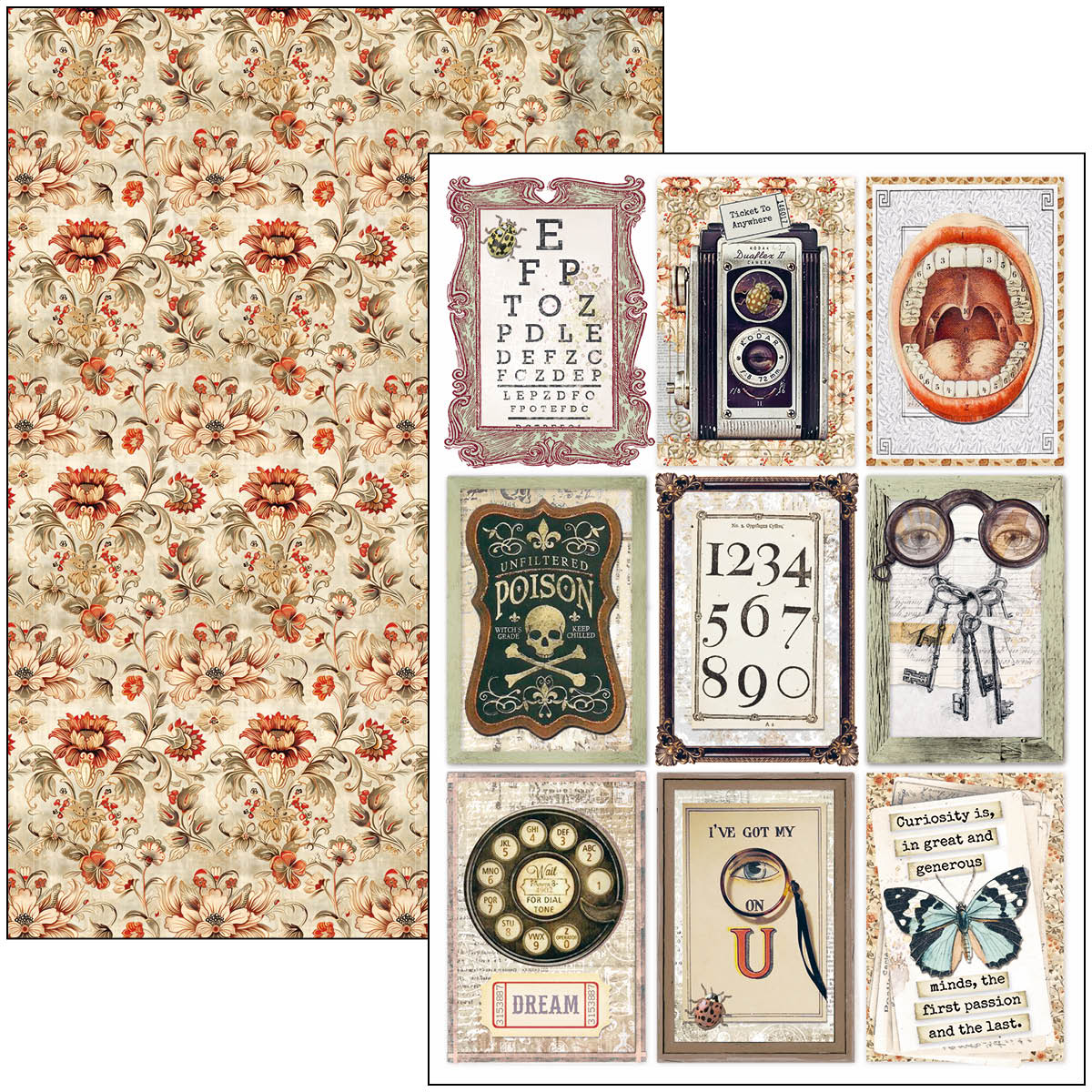 Cabinet Of Curiosities Creative Pad A4 9/Pkg