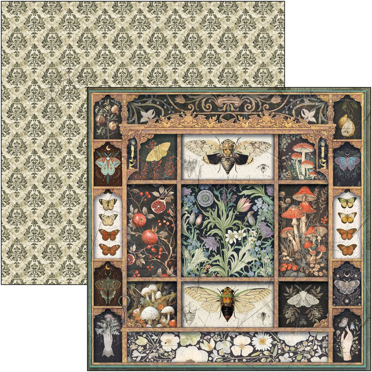 Cabinet Of Curiosities Pad 8"x8" 12/Pkg
