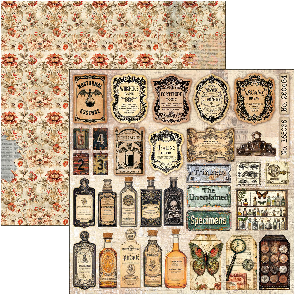 Cabinet Of Curiosities Pad 8"x8" 12/Pkg