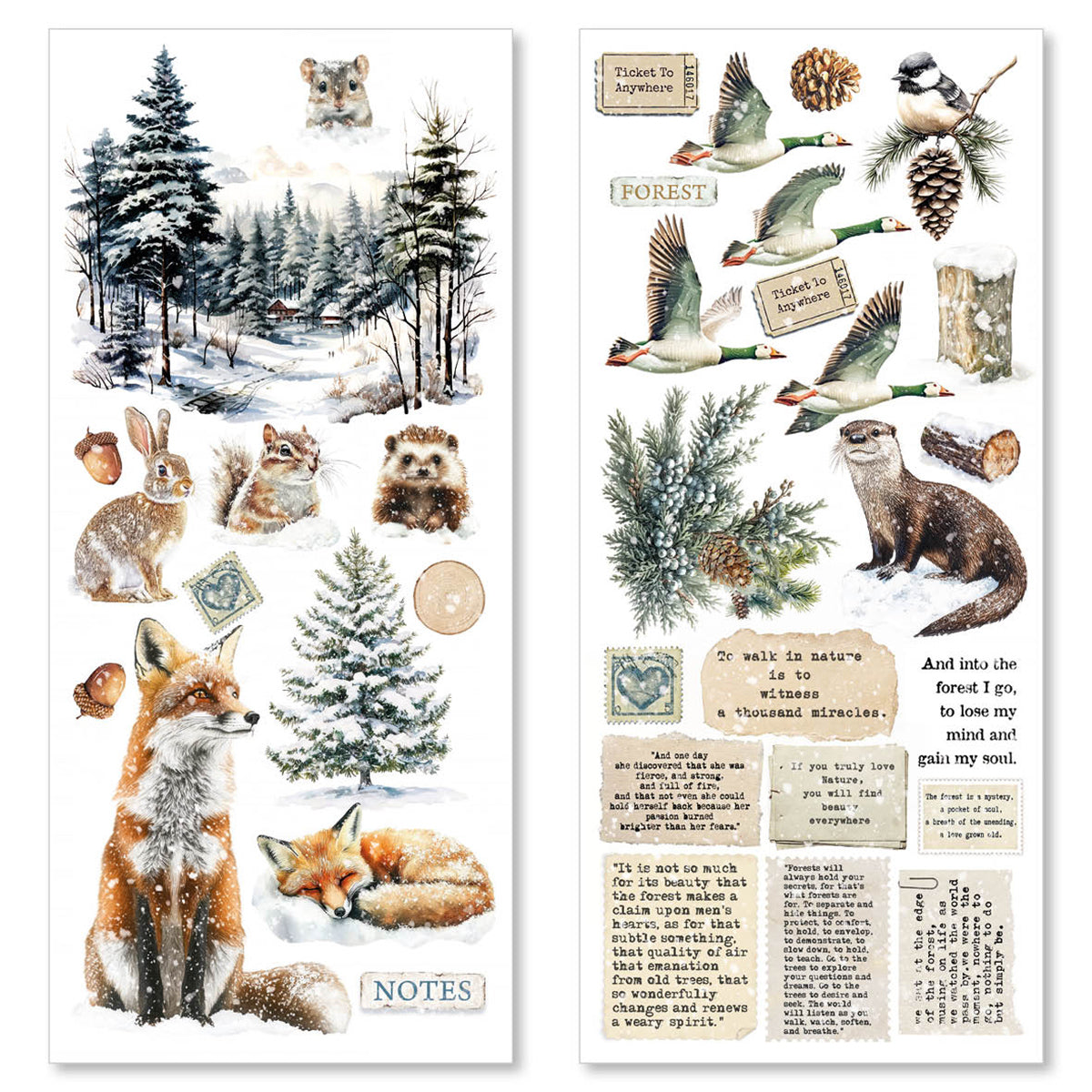 Forest Tales Transparent Adhesive Sheets 5/Pkg