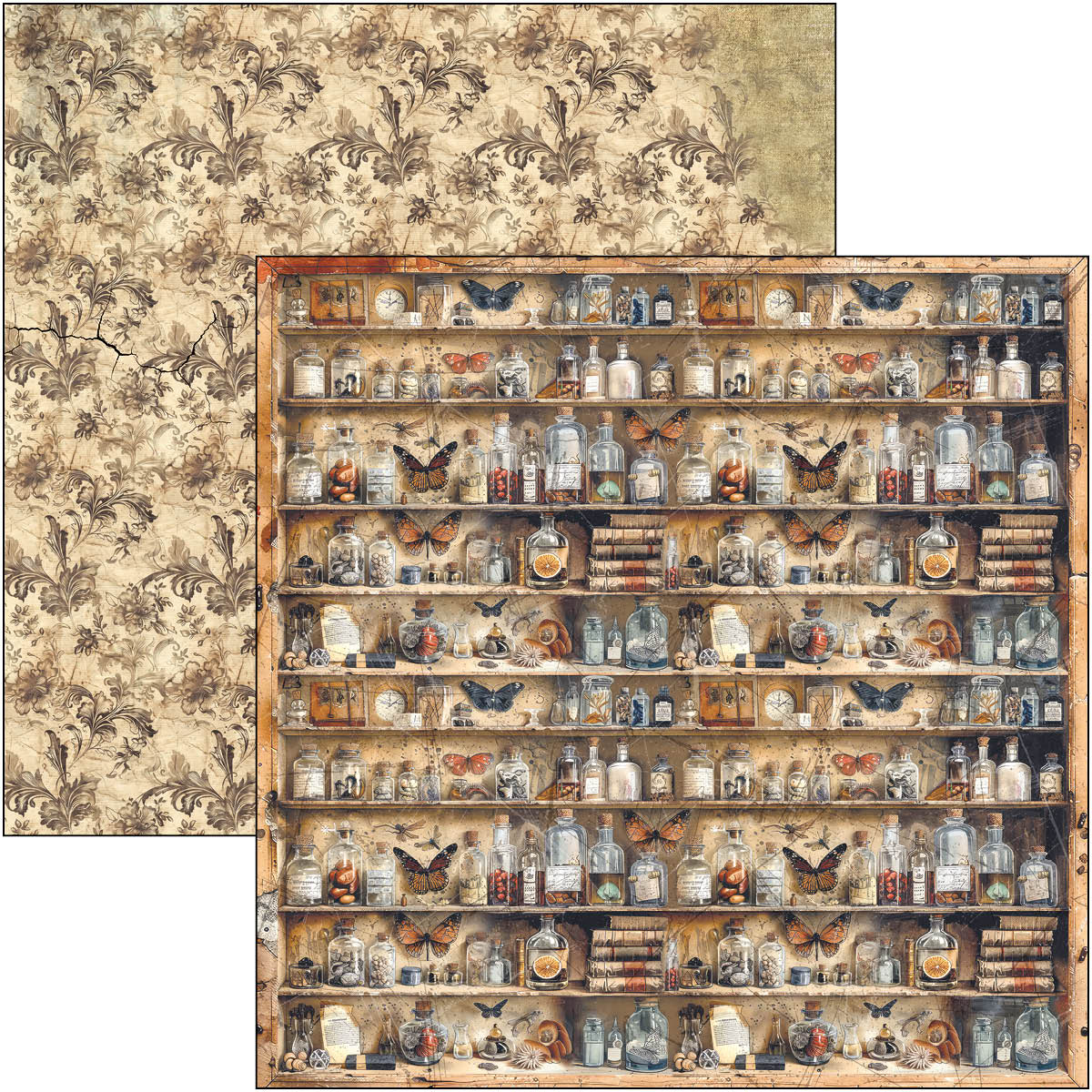 Cabinet Of Curiosities Paper Pad 12"x12" 12/Pkg