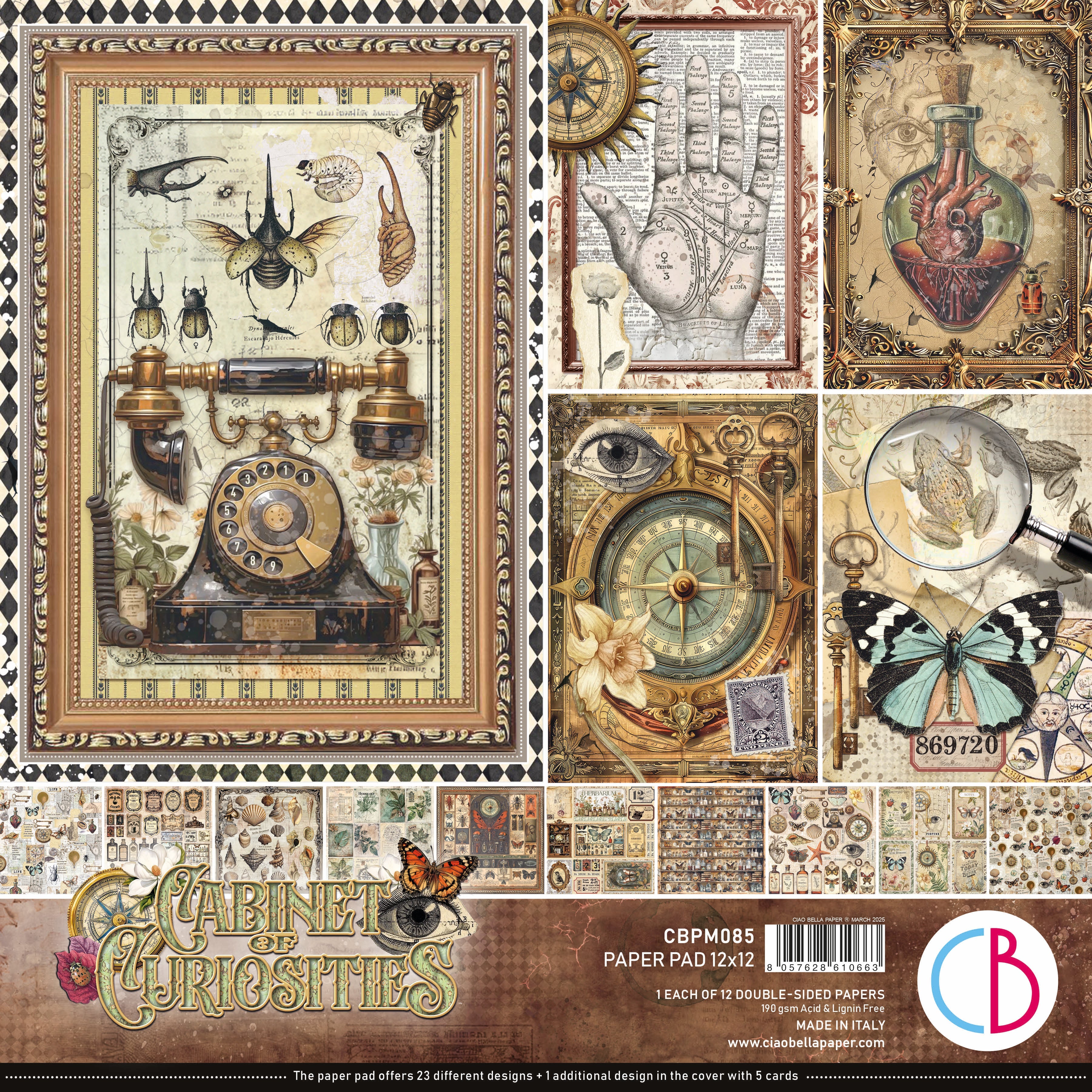 Cabinet Of Curiosities Paper Pad 12"x12" 12/Pkg