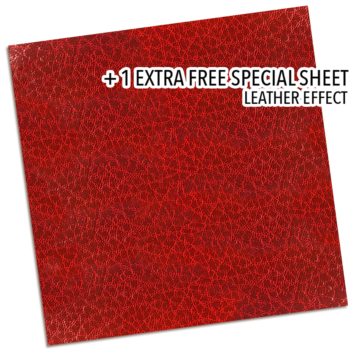 Book Lovers Paper Pad 12"x12" 12/Pkg