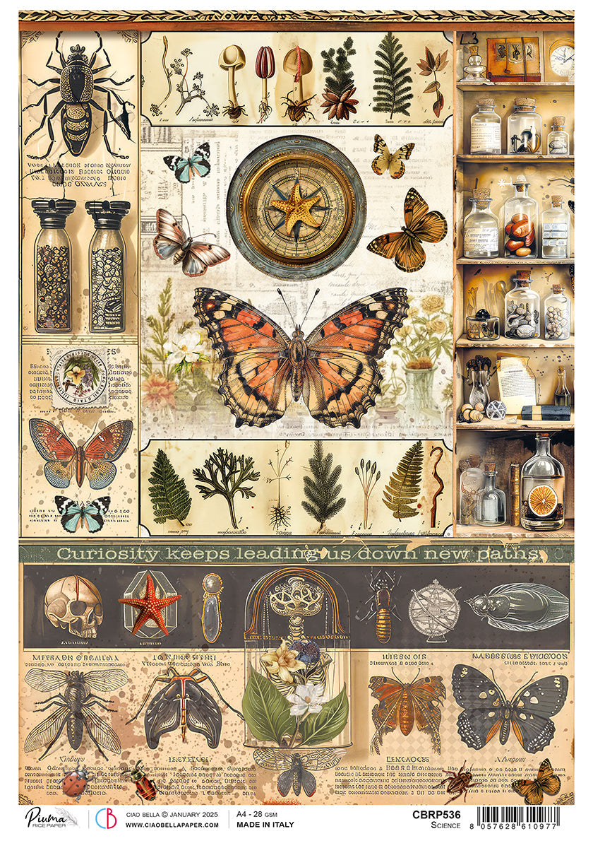 Rice Paper A4 Science - 5 Sheets