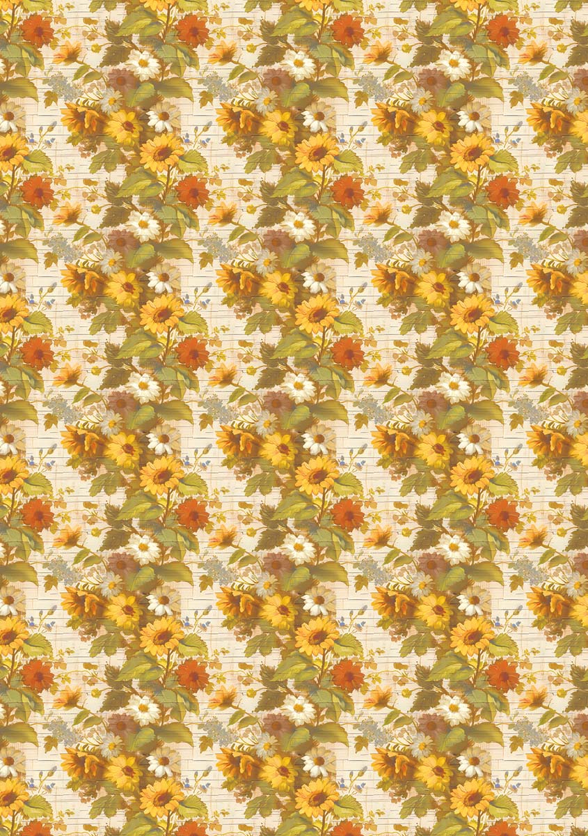 Rice Paper A5 MIXED 8/Pkg Yellowstone