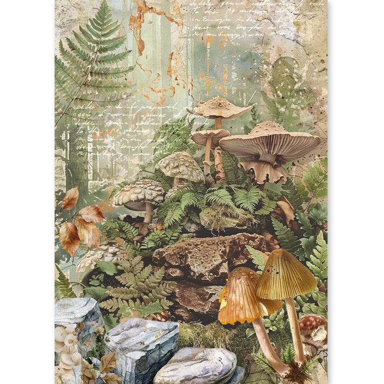 Rice Paper A5 MIXED 8/Pkg The Nature Journal